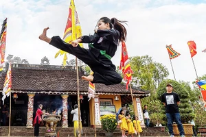 "Ai về Bình Định mà coi...". Ảnh: NGUYỄN LINH VINH QUỐC