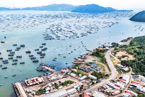 Nghề nuôi thủy sản tại vịnh Xuân Đài đang gượng dậy sau thiên tai.