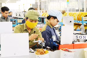 Dư địa lợi nhuận thu hẹp do chi phí, các doanh nghiệp tối ưu hóa quản trị để giữ năng lực cạnh tranh. Ảnh: NAM ANH