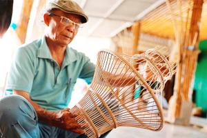 Người cao tuổi có nhu cầu làm việc để có thêm thu nhập, duy trì sức khỏe và gắn kết cộng đồng.