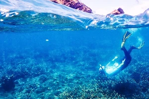 Dự án phục hồi rạn san hô ở Woppaburra. Ảnh: AIMS