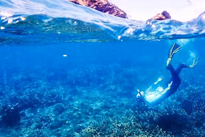 Dự án phục hồi rạn san hô ở Woppaburra. Ảnh: AIMS