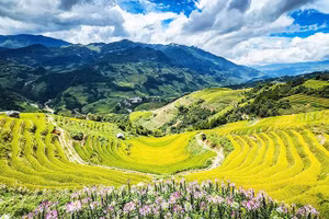 Bức tranh thủy mặc của núi rừng.