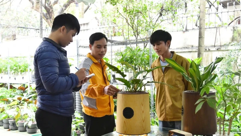 Doanh nghiệp khởi nghiệp TreeoTek phát triển sản phẩm máy lọc không khí công nghệ sinh học. (Ảnh THỦY NGUYÊN)