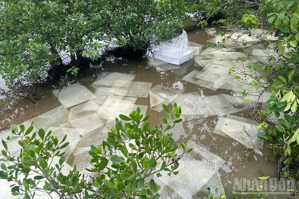 Quảng Ngãi: Đề nghị khẩn trương khắc phục hậu quả sự cố tràn dầu ra môi trường 