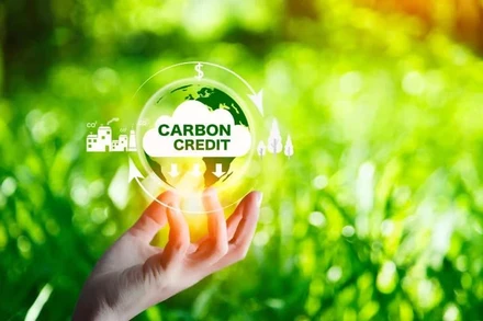 Ảnh minh họa. (Nguồn: Insurance Business Mag)