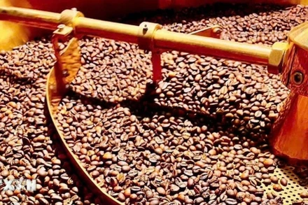 Ảnh minh họa. (Nguồn: TTXVN)