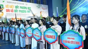 132 đoàn tham dự Liên hoan năm nay. 