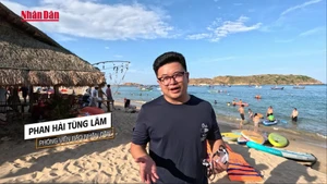 [Video] Bí ẩn "tường thành cổ" dưới lòng biển Gia Lai 