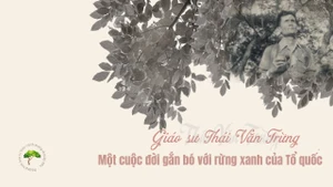 Giáo sư Thái Văn Trừng - Một cuộc đời gắn bó với rừng xanh Tổ quốc