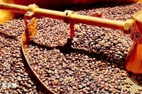 Ảnh minh họa. (Nguồn: TTXVN)