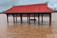 Đến chiều 28/10, mực nước trên sông Thạch Hãn đoạn qua phường Quảng Trị đạt 4,54m, vượt báo động 2 là 0,04mm.