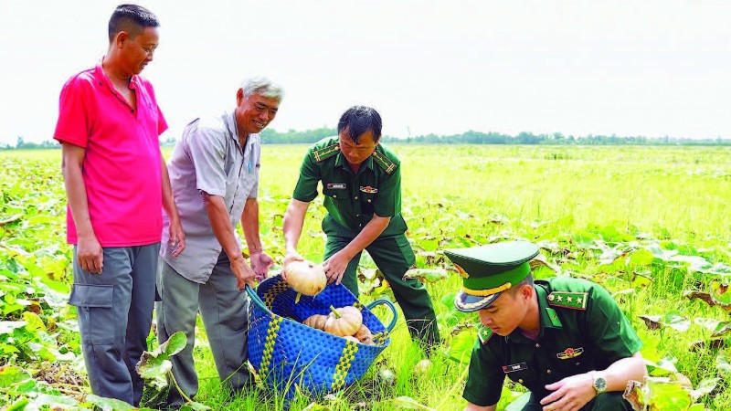 Bộ đội Biên phòng Cà Mau hỗ trợ dân trên ruộng bí đỏ rực vàng ở xã Đá Bạc.