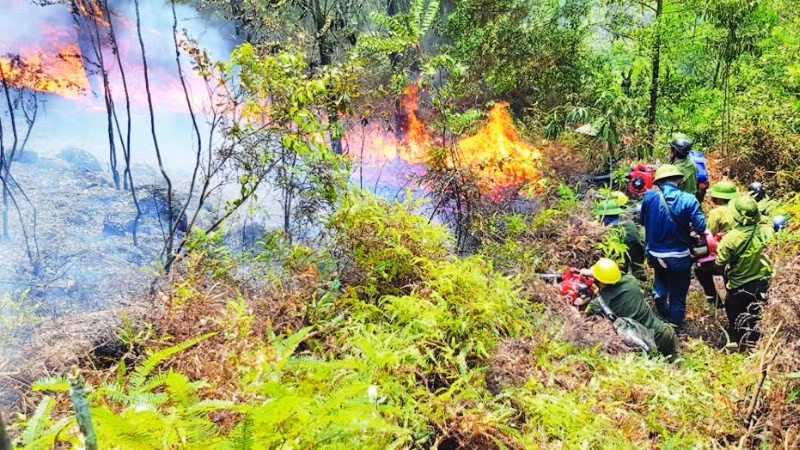 Lực lượng chức năng nỗ lực dập cháy thực bì dưới tán rừng ở Thanh Hóa.