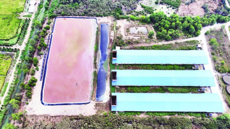 Trang trại nuôi heo gia công công nghiệp kín lạnh nhìn từ trên cao.