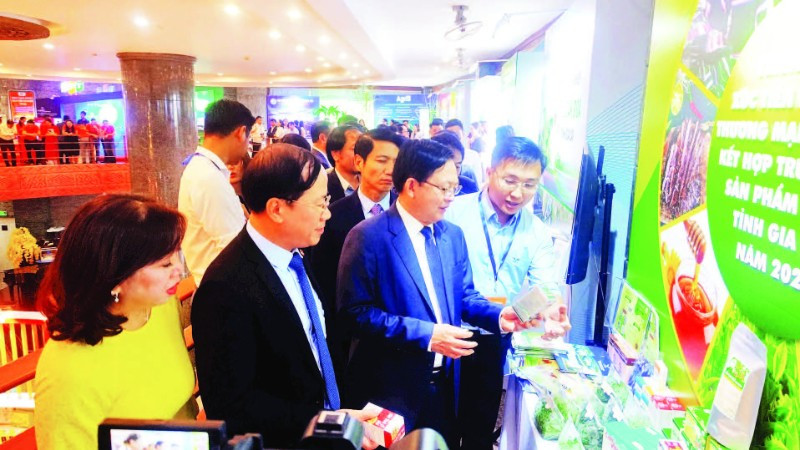 Tỉnh Gia Lai sẵn sàng cho một giai đoạn phát triển mới với tinh thần đổi mới, tư duy mở và hành động quyết liệt.
