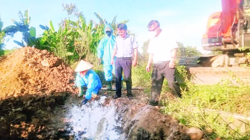 Chính quyền các xã ở phía bắc tỉnh Quảng Trị huy động cả hệ thống chính trị vào cuộc để dập dịch tả lợn châu Phi.