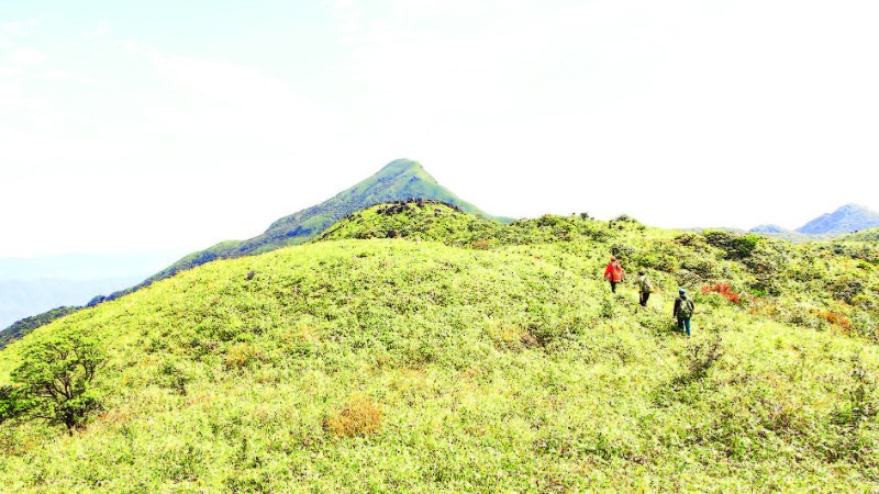Chinh phục độ cao từ Pa Thiên lên đỉnh Voi Mẹp cao 1.700m.