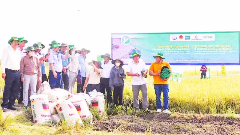 Đại diện c&aacute;c địa phương tham gia đề &aacute;n như: T&acirc;y Ninh, An Giang, C&agrave; Mau, Cần Thơ v&agrave; Đồng Th&aacute;p tham dự chương tr&igrave;nh tr&igrave;nh diễn.
