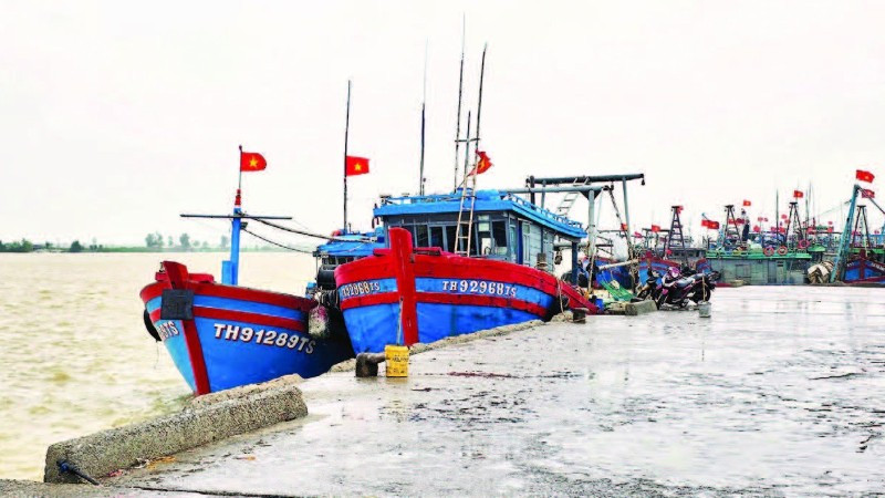 Cảng cá Hòa Lộc, xã Hoa Lộc.