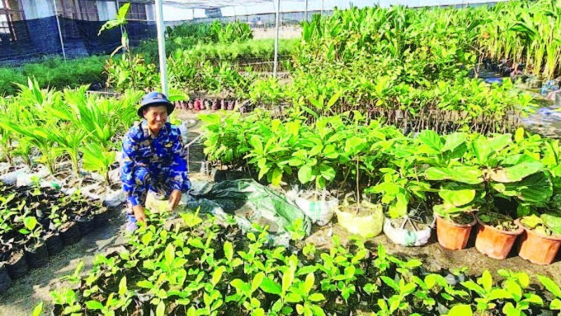 Những mầm non trên đất khát.