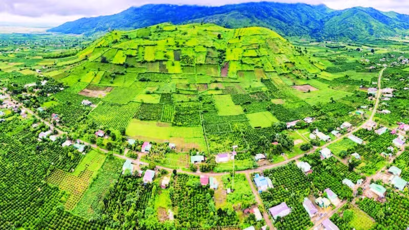 Từ trên cao nhìn xuống, Chư Đăng Ya như một bức tranh kỳ vĩ với những mảng màu luân phiên của cây trồng theo mùa. (Ảnh DŨNG NHÂN)