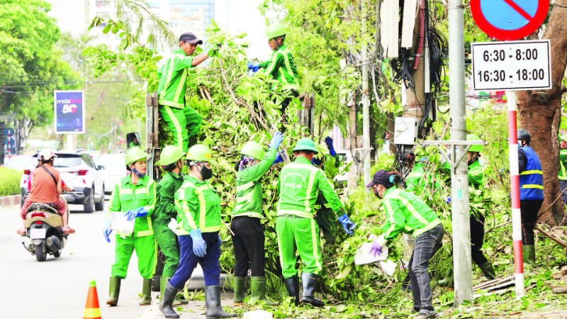 Thu gom rác thải và cành cây xanh trên tuyến đường Quang Trung, phường Thành Vinh.