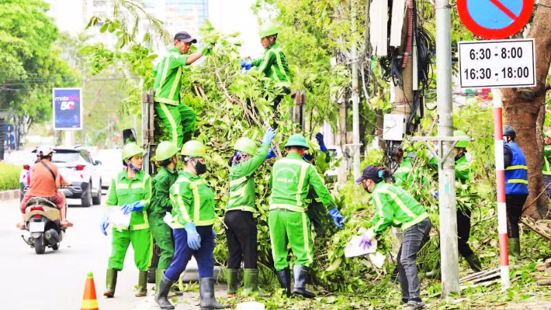 Thu gom rác thải và cành cây xanh trên tuyến đường Quang Trung, phường Thành Vinh.