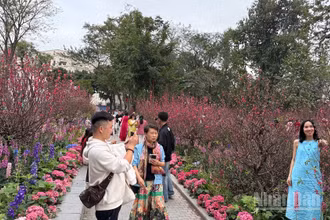 [Ảnh] Hồ Hoàn Kiếm tấp nập người chơi xuân, lưu giữ khoảnh khắc đầu năm