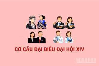[Infographic] Cơ cấu, thành phần đại biểu dự Đại hội XIV của Đảng