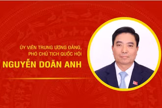 [Infographic] Tiểu sử Phó Chủ tịch Quốc hội Nguyễn Doãn Anh