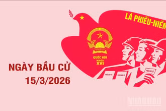 [Infographic] Thông tin cần biết về Ngày Bầu cử