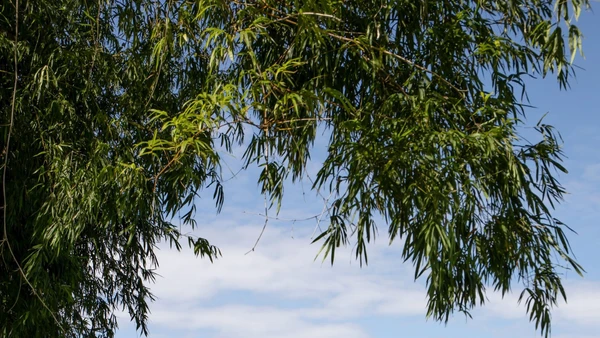 Một hạng mục công trình công giáo với màu mộc mạc của vật liệu gạch, ngói, gỗ, do KTS Lê Minh Hoàng và cộng sự thiết kế, giám sát thi công.