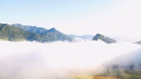 Cánh đồng Lìm Mông đẹp như tranh thủy mạc.