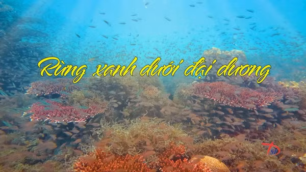 Một trong những bộ phim khoa học tham gia dự giải tại Liên hoan.