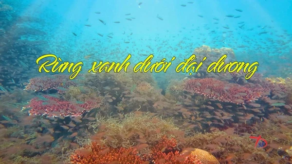 Một trong những bộ phim khoa học tham gia dự giải tại Liên hoan.