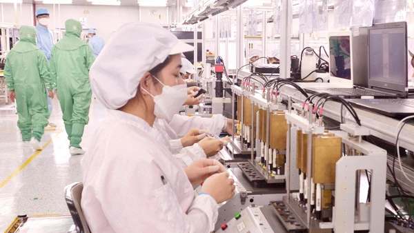 Từ ngày 15/10/2025 tới đây, Việt Nam sẽ chính thức áp dụng thuế tối thiểu toàn cầu 15% đối với các doanh nghiệp FDI có doanh thu hợp nhất từ 750 triệu Euro (EUR) trở lên.