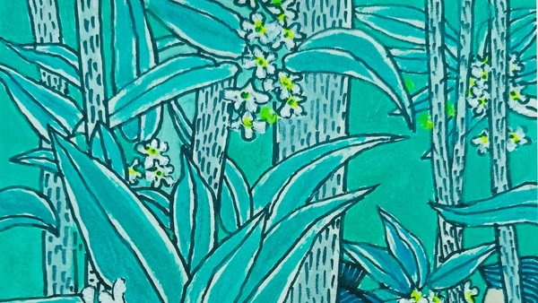 Minh họa: Trần Xuân Bình