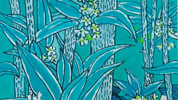 Minh họa: Trần Xuân Bình