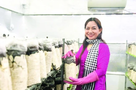 Chị Châu Thị Nương trồng nấm sạch đạt hiệu quả kinh tế cao.