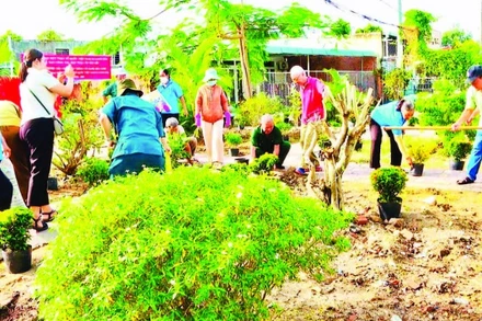 Người dân ấp Hải Lộc (xã Long Hải) chung tay xây dựng “Tiểu công viên cây xanh” trên địa bàn.