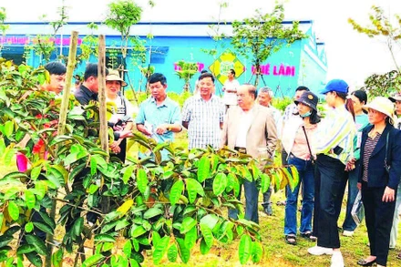 Ông Nguyễn Hồng Lam (áo vest), Chủ tịch Công ty cổ phần Tập đoàn Quế Lâm, Chủ tịch Hội Nông nghiệp tuần hoàn Việt Nam đang hướng dẫn cho bà con nông dân tại mô hình 4F.