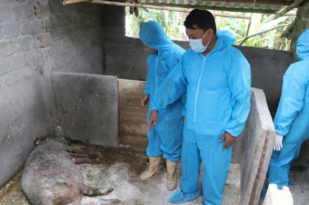 Các cấp chính quyền và lực lượng chức năng trong tỉnh đang nỗ lực kiểm soát và phòng, chống dịch.