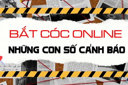 Bắt cóc online - Những con số cảnh báo.