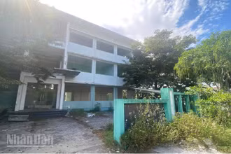 Không được đưa vào sử dụng, không có phương án bảo vệ, tòa nhà đã bị trộm cắp, phá hoại.