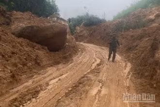 Với tinh thần làm việc xuyên đêm không ngơi nghỉ, đến rạng sáng 31/10, điểm sạt lở nghiêm trọng tại Km15+900 và nhiều điểm sạt lở khác trên tuyến ĐT.623 đã khắc phục xong, bảo đảm giao thông vào đến trung tâm xã Sơn Tây (Quảng Ngãi). 