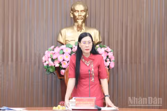 Đồng chí Bùi Thị Quỳnh Vân, Ủy viên Trung ương Đảng, Bí thư Tỉnh ủy Quảng Ngãi phát biểu tại buổi làm việc.