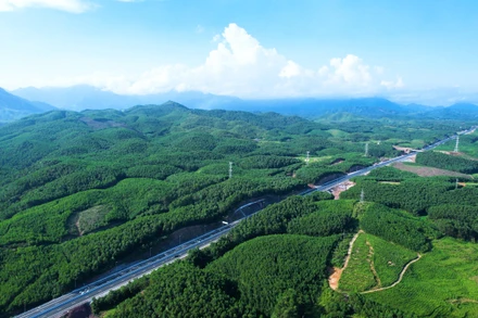 Hiện thực hóa tham vọng Net-Zero: Giải "bài toán" từ cơ chế