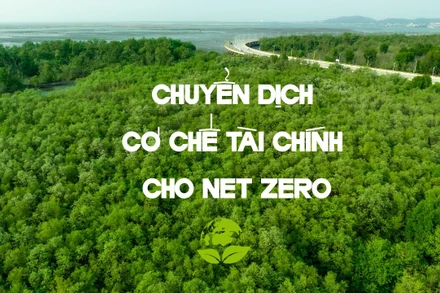 Chuyển dịch cơ chế tài chính cho Net-zero