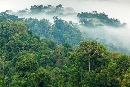 Ba giai đoạn của Chương trình mục tiêu quốc gia ứng phó với biến đổi khí hậu